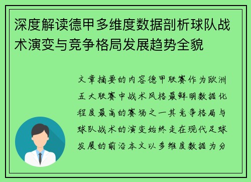 深度解读德甲多维度数据剖析球队战术演变与竞争格局发展趋势全貌
